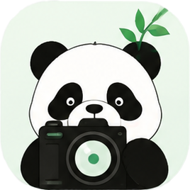 PandaLingo